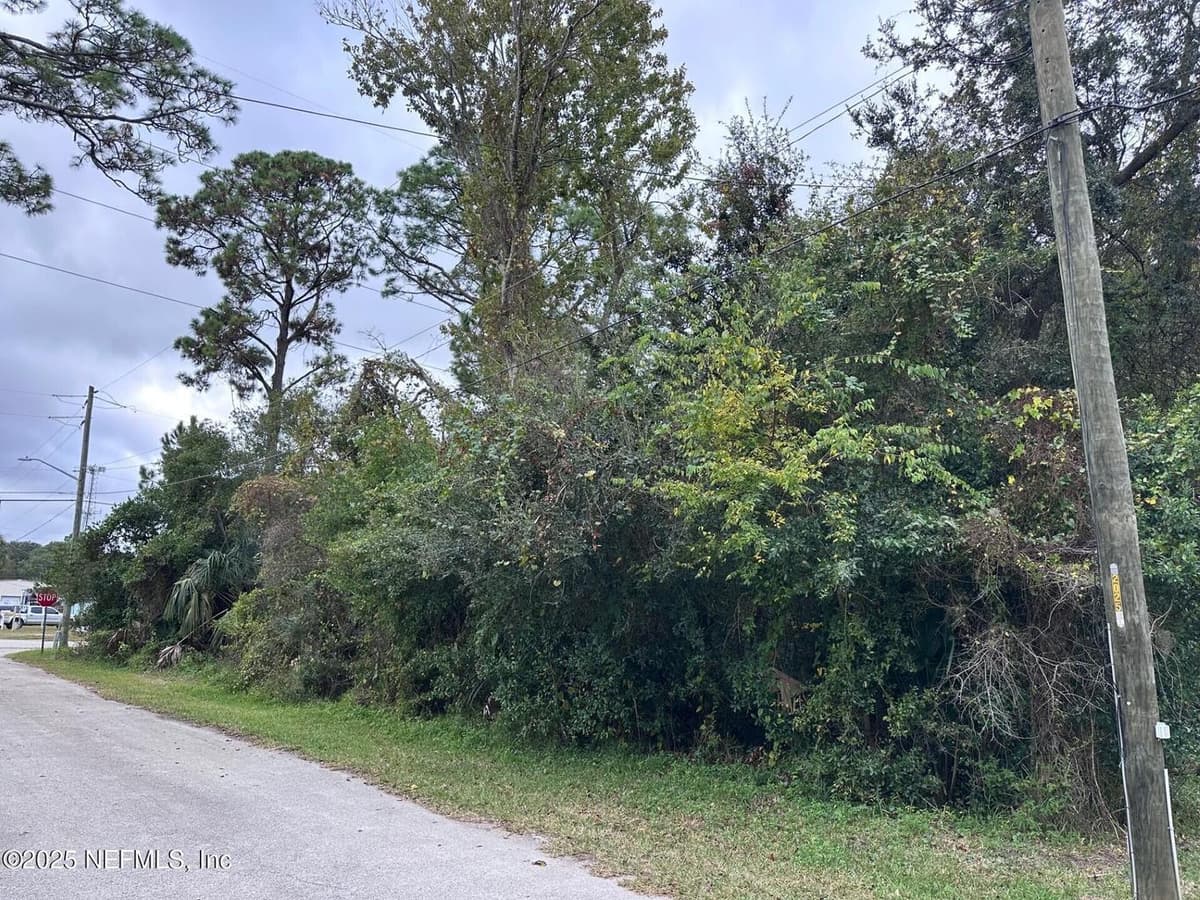 0 W DUTTON ISLAND Road, Atlantic Beach, FL 32233, Atlantic Beach, FL - photo 3